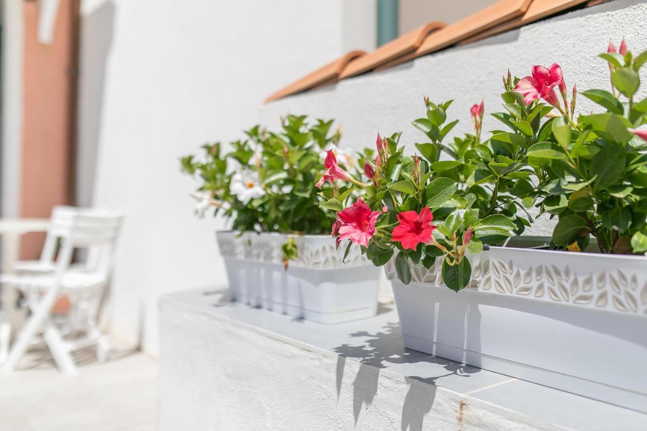 Tramonto Sul Mare Bed & Breakfast Santa Teresa Gallura Exterior photo